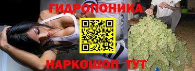 индика Можайск