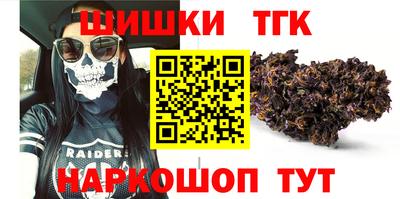 индика Можайск