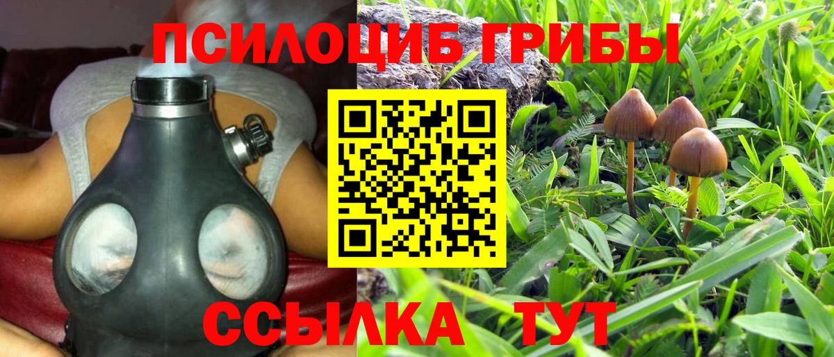 Псилоцибиновые грибы Psilocybe  Вход с VPN  Воркута 