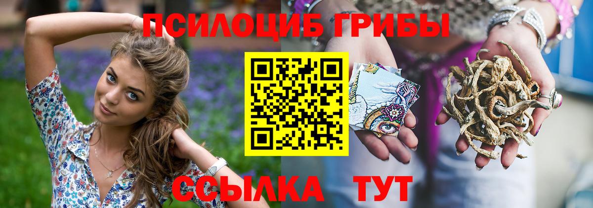 Галлюциногенные грибы GOLDEN TEACHER  где продают   Воркута 