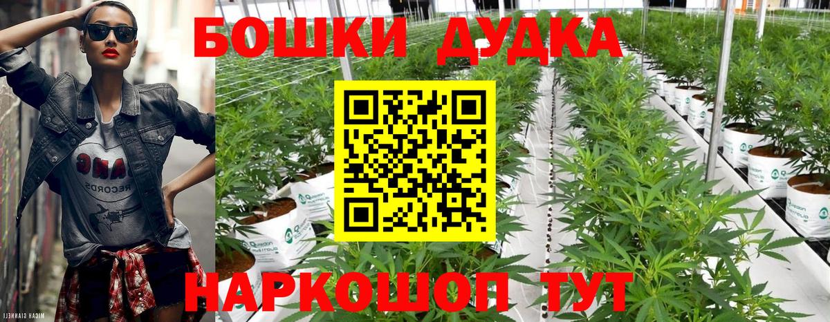 МАРИХУАНА конопля  Канабис Amnesia  Воркута  Бошки марихуана сатива 